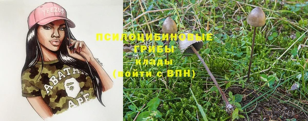 MESCALINE Покачи