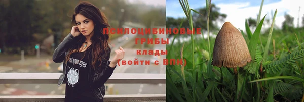 spice Приозерск