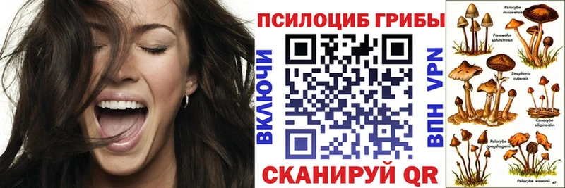 Псилоцибиновые грибы мухоморы  Купить где  Санкт-Петербург 